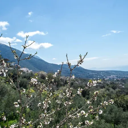 Διαμέρισμα Dimos-mani Wonderful View Tseria