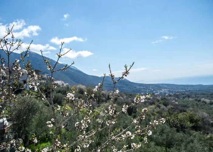 Apartmán Dimos-mani Wonderful View Tseria